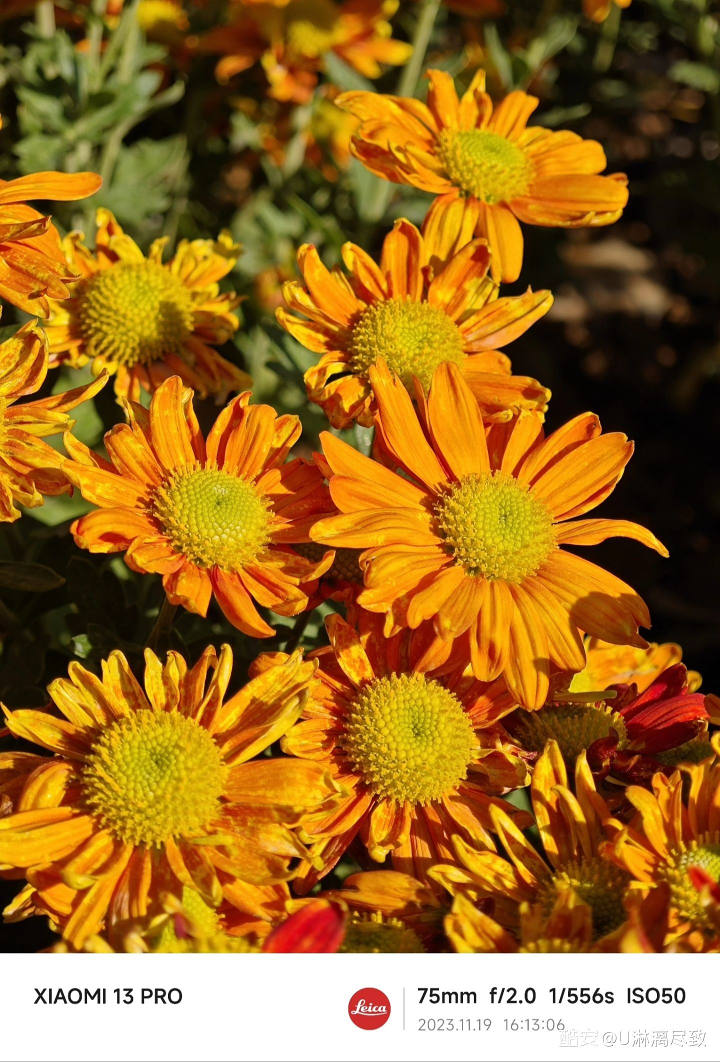 9ca66fce72fcaeed0c7fee505c6aec464ff9d9b6