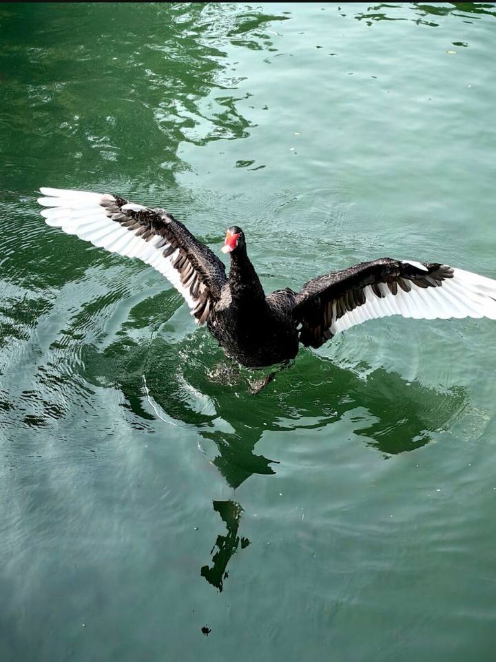 65897b4fa6fddbdd4eb97fd2339082651da0d0a9