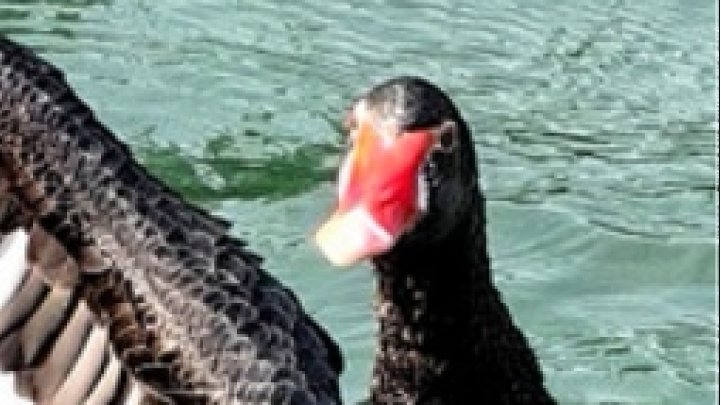 2d434007f7f2b0a8ba053750f74e7283ac5c9772