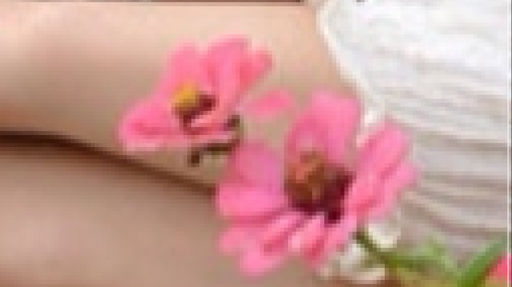 ece283135f37b147fbed653238a4bb37f27efede