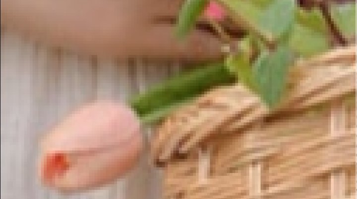 b0775b3d7e54cb867a48f2d110e6855e9f898704