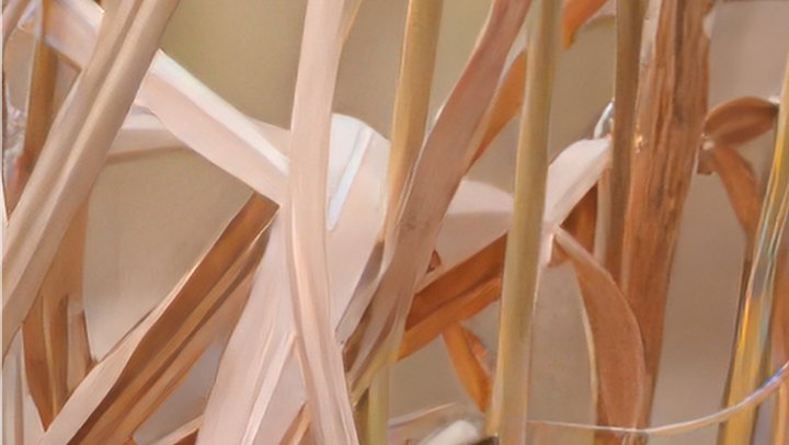 34c12b99c415cec62fec5f2127454d4bdc141998