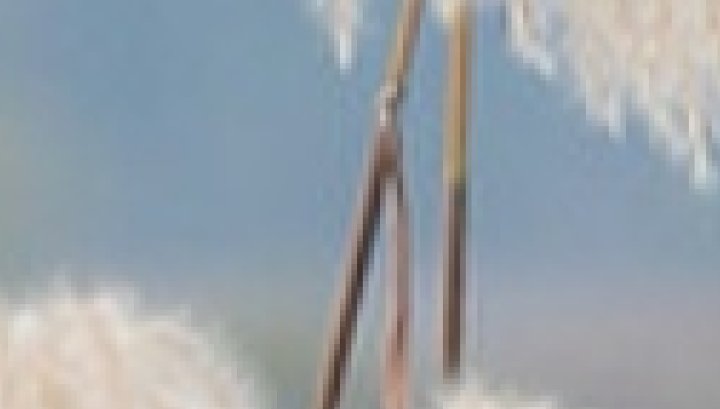 9dac0b8273bfd6ba6c8e4468301f9ca314cbe028