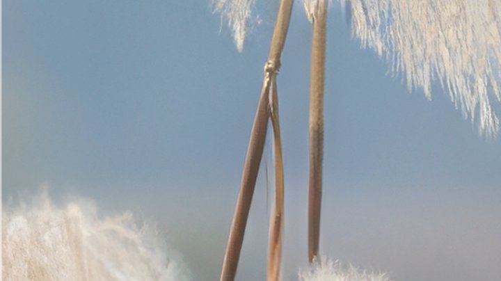 3befe61407c533d2fc0decc819b02824bd9db2f9