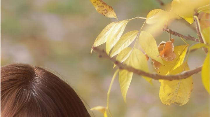 d46d8d94c159c2eff4c3bf5f5e759575fc1ecc2f