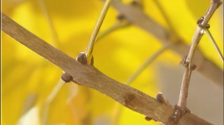 d09e954950e6e22c536874ea1e80a27fa15b02db