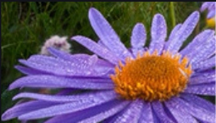 be9848a46630f6dd522729cfba3c9e0c700bd71f