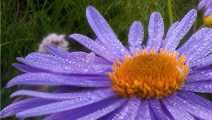 031636e1831ccd5e986debe012e18a5c4dd7e54d