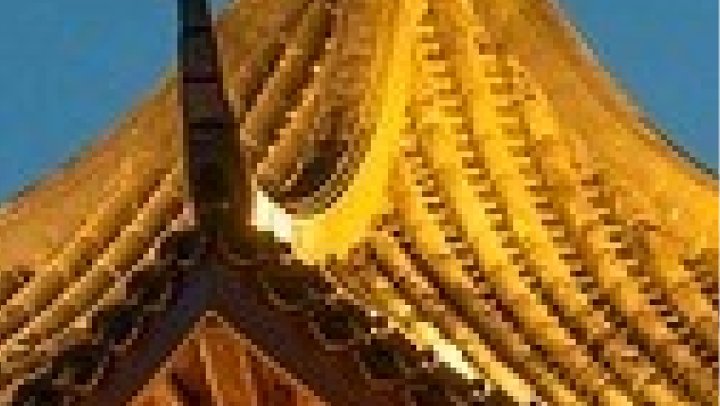 053555ba5596bff72b44b31855074849e9508c47