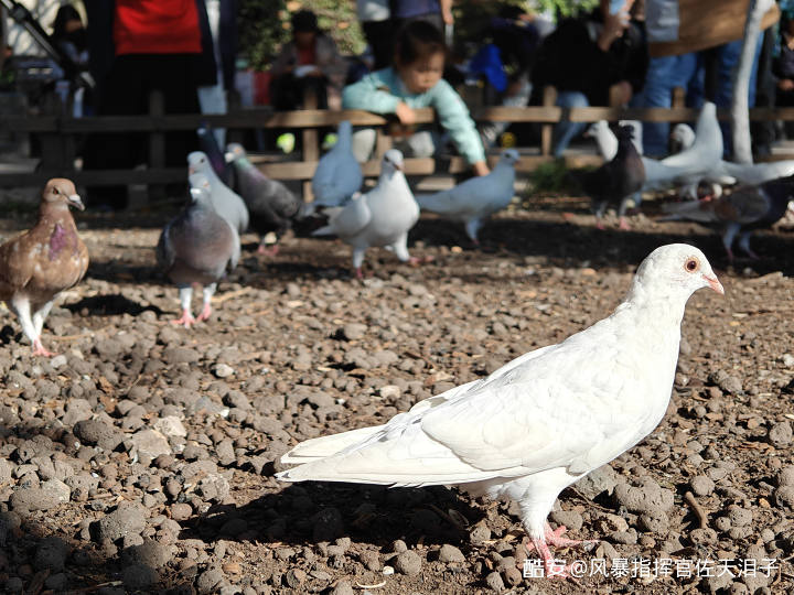 7a8f5c9bb21be9ee35ac0e10519dda038d56a421