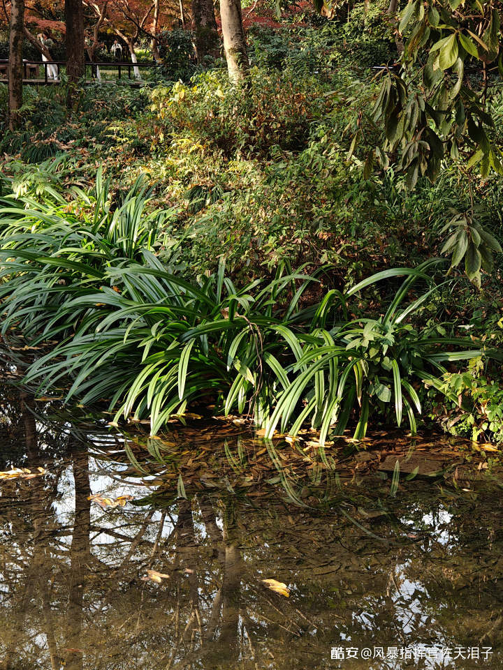 be96e0948f3d77287e2eb02e549f9b61c200b6a5