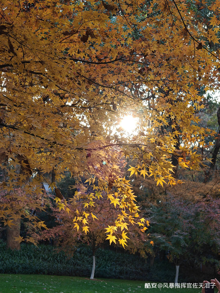 e2600899bfb0beeafa21fb41454745124c461513