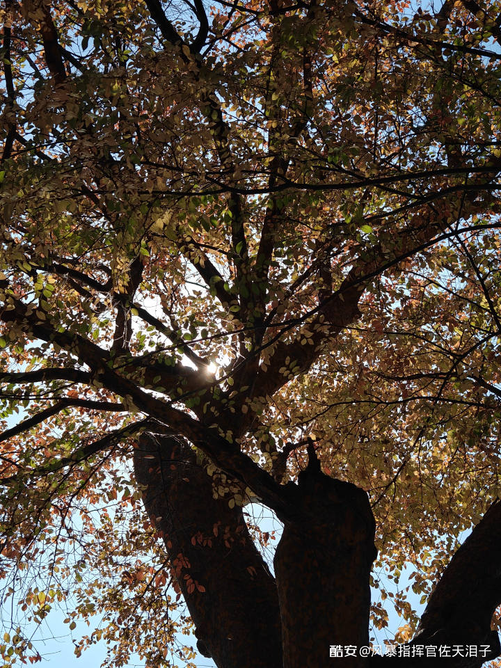 7d2093372369dd7ee6efa4b42646071b549e129c