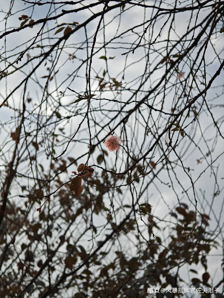 b29dfa42db41011e371e15aa8e64f8f129876955