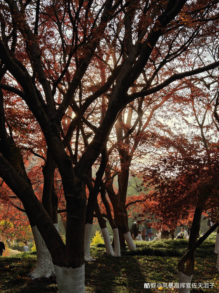 55a62f25f1dad7d7b697b0123a489e7b80389db3