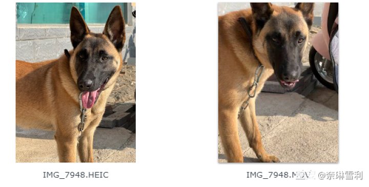 8f1ed2f45e091c9c17e46dcc84bafe64dc88196d