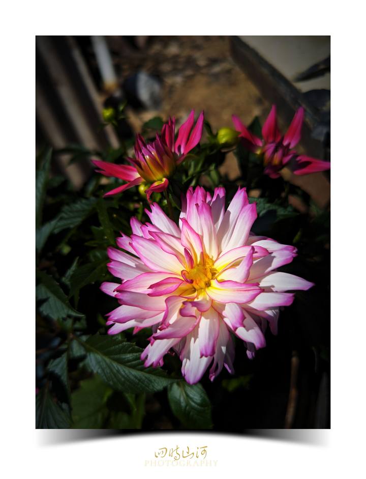 18c3cdf1785dd210785a000679898bddf89217cf