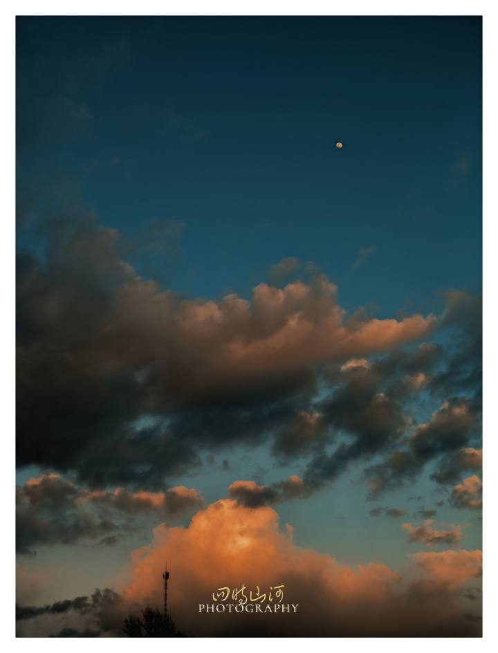 d4a190632688f7ea6010255a1e53639cf1053947