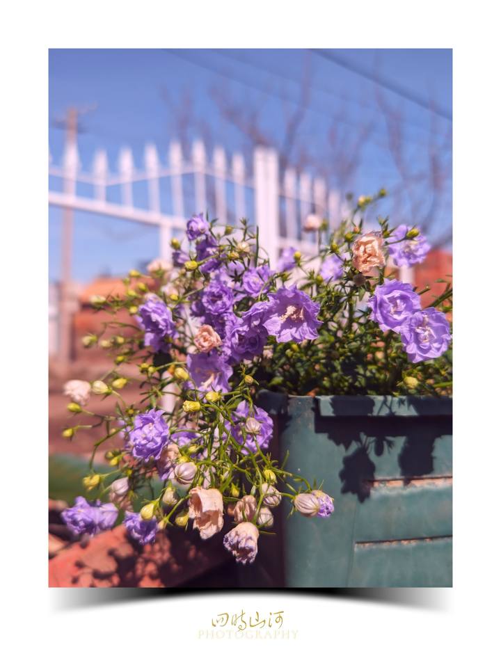 4087e9f5008b70c115a8951c2f1a19bf57085b4d