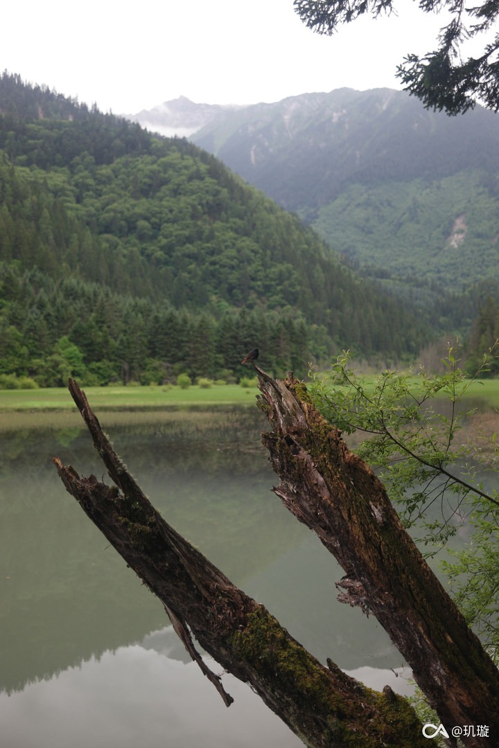 23657f3c8393ea3c6177af011bc85fd6dcd72914