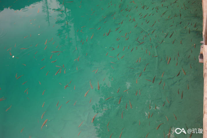 c0883148696322b41413d23623c8cada48576f99