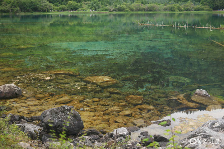 3c525381cf48152b2d929dc506c679697e13f4c6