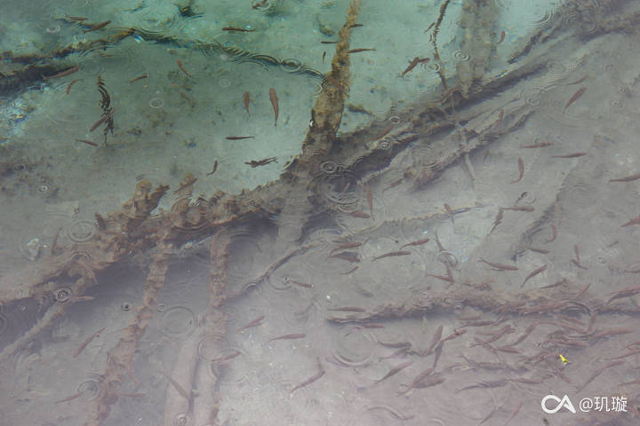 01b63092ac7d55406685c6b4dc31ba22fba8ac59