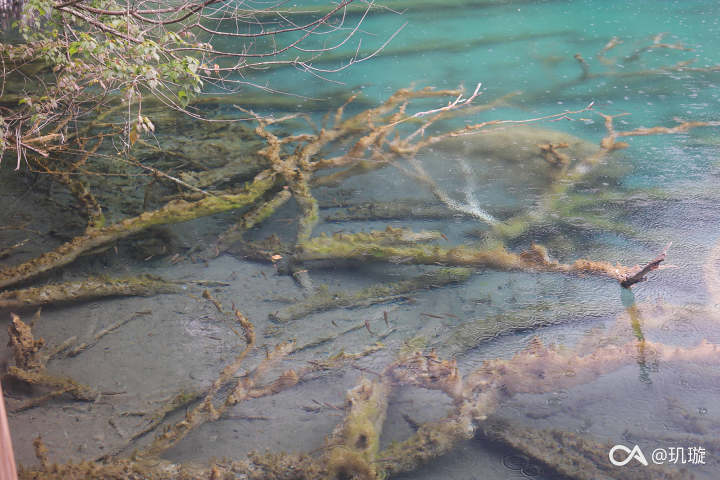 5b7654f20246d7c1cbea2a9b85ba827c4c5fb6b2