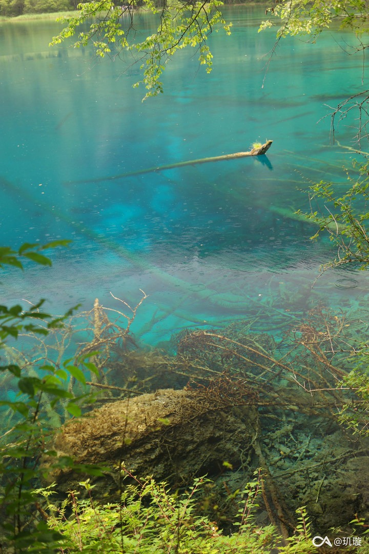 657962048fbe77c78ce0f846a627102cef9d85b5