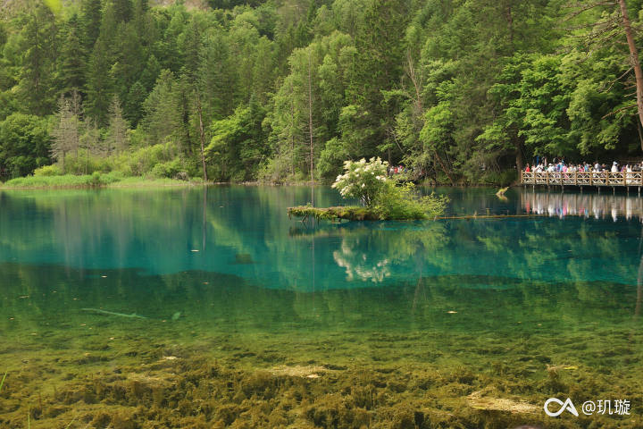 43361e341d4c40ca32cd6426711ae0cea7a299bc