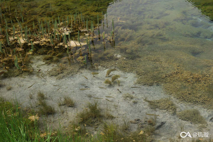 9aed07831d9b8d77212d23d779249461f8c1a4d6