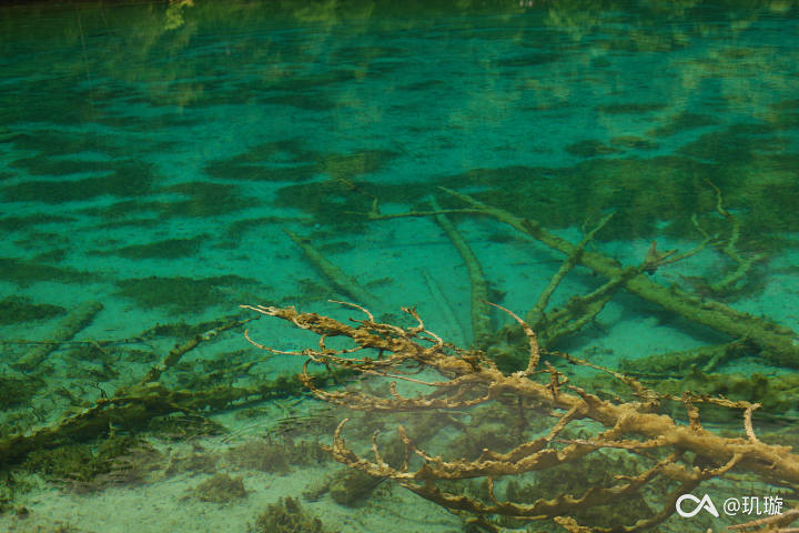 0a391977bbd6a1060633ff6bcf7536367bb429ba