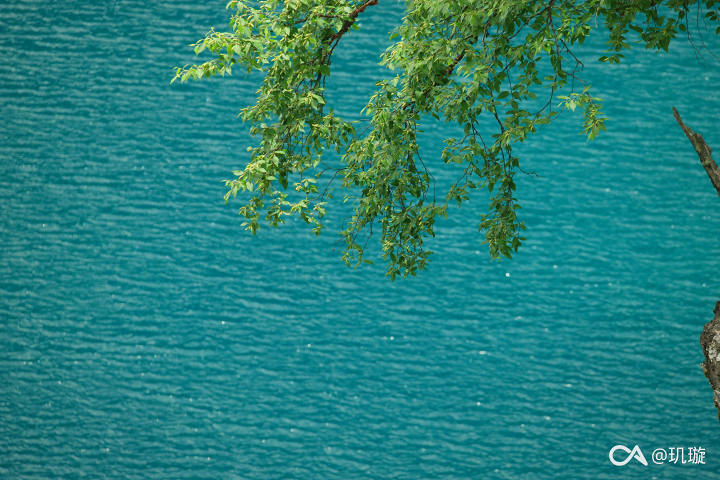 57328b05155b4499a360cef133d195a193278c10