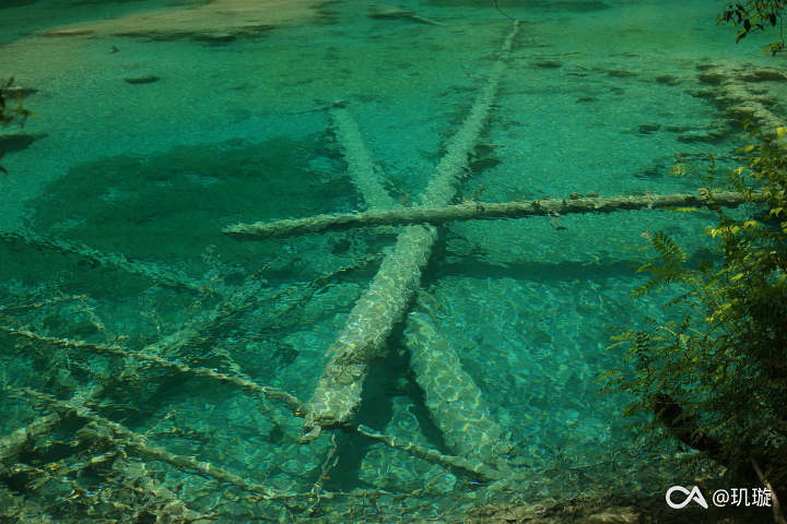 1a2307a6d303645123bf23791b0d14502dbe1596