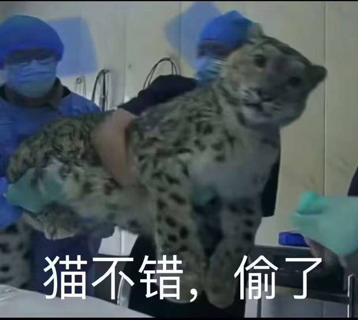 02e3a7dc92cff3a2c12ed3aded61e54cea5e0890