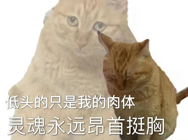 119d0fad7e334e7d31dcf5dd842de45790f6b26d