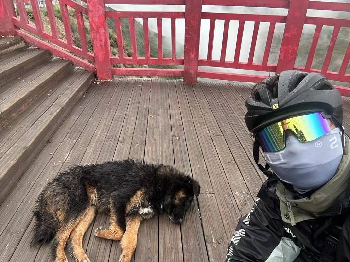 d44704ca4f5656006f29890855a3cd2184c1c7f6